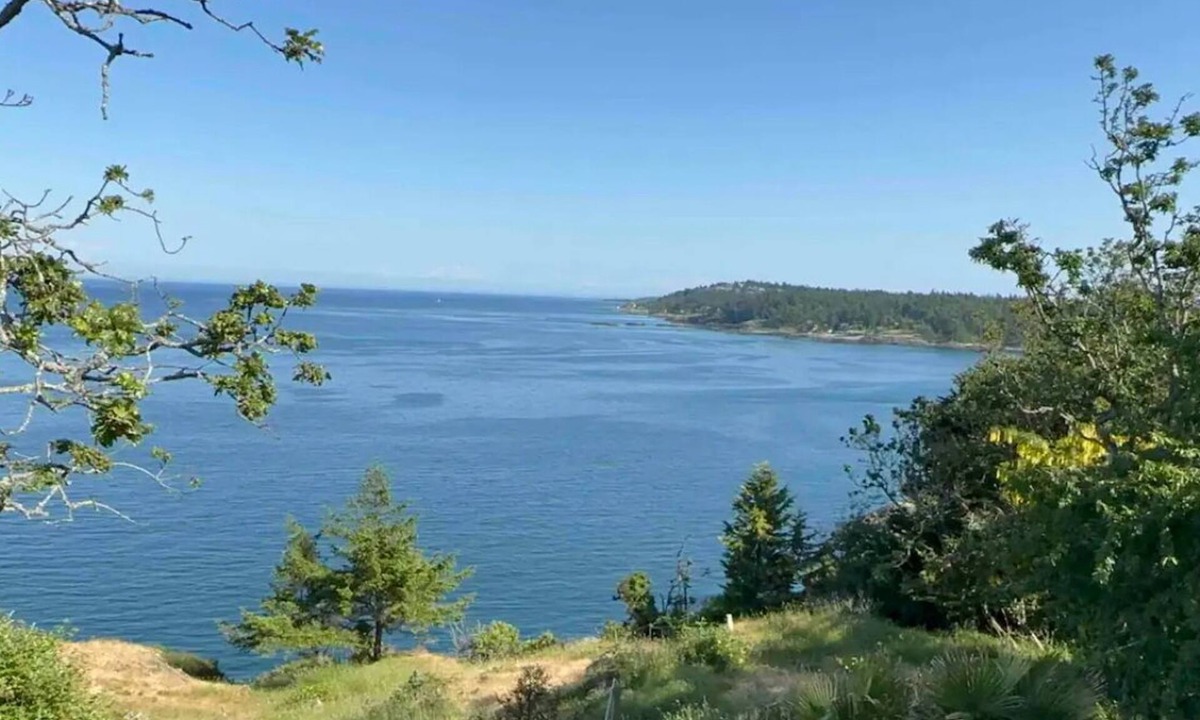 Gordon Head Bed & Breakfast | 1.7 Acres Beautiful waterfront house near downtown and UVIC
