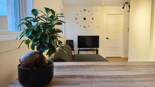 Rawdon Apartment | Au coeur du village