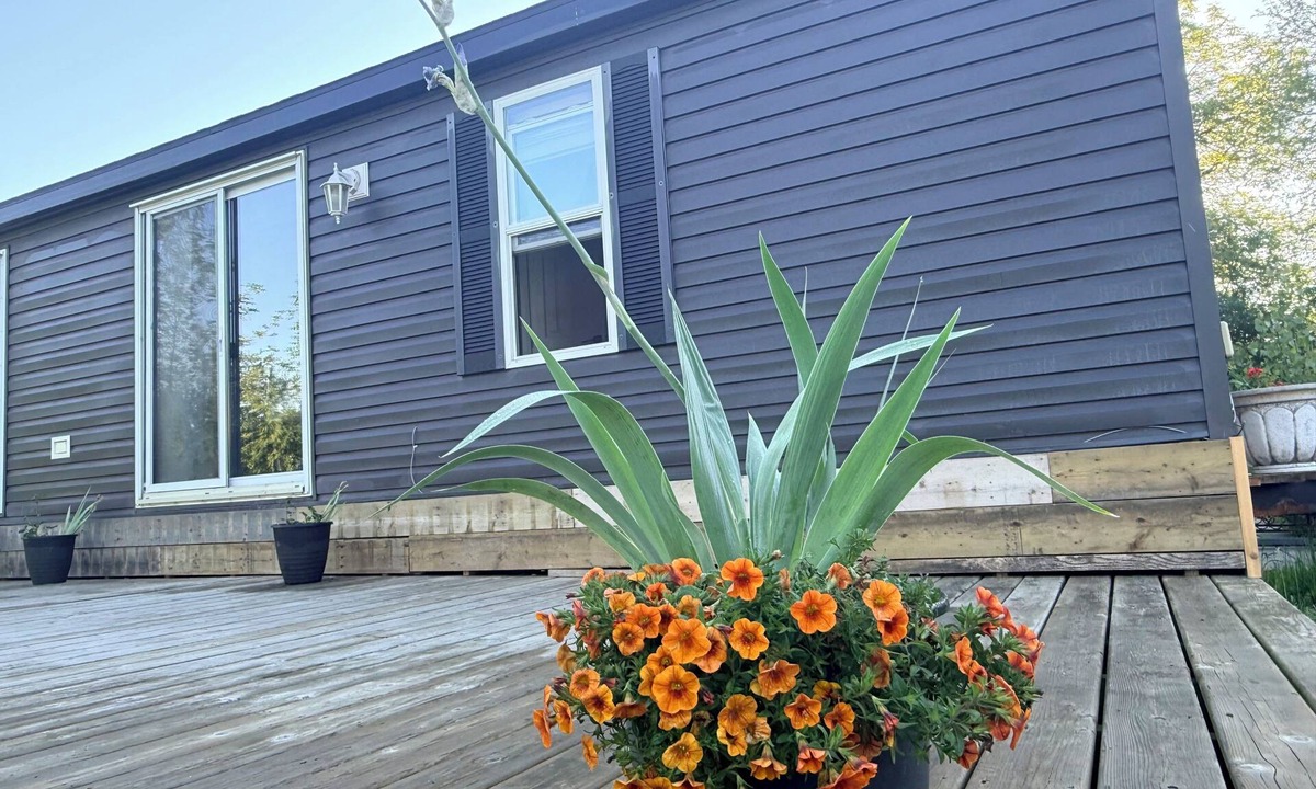 Chippawa Resort | Backyard Garden Resort 7 Beds for a Max of 12 near Horseshoe Fall