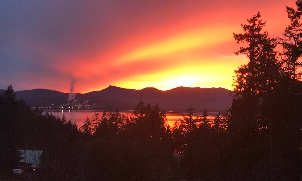 Salt Spring Island Cabin | Beautiful, Serene 1 - 2 Bedroom Salt Spring Suite With a South-Western View