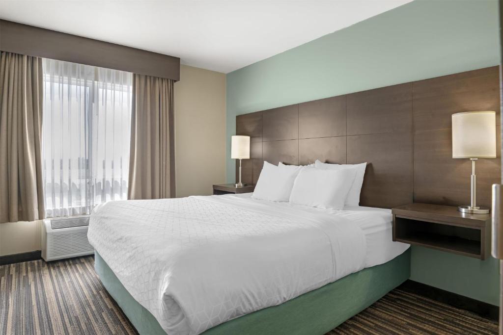 Dartmouth Hotel | Best Western Plus Dartmouth Hotel & Suites