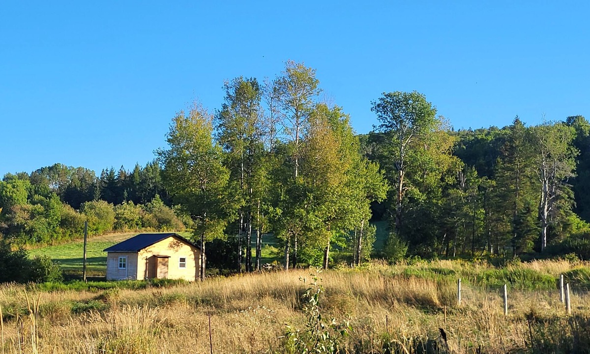 Waterford Cabin | Country Retreat with Horses Near Fundy & Poley Mountain