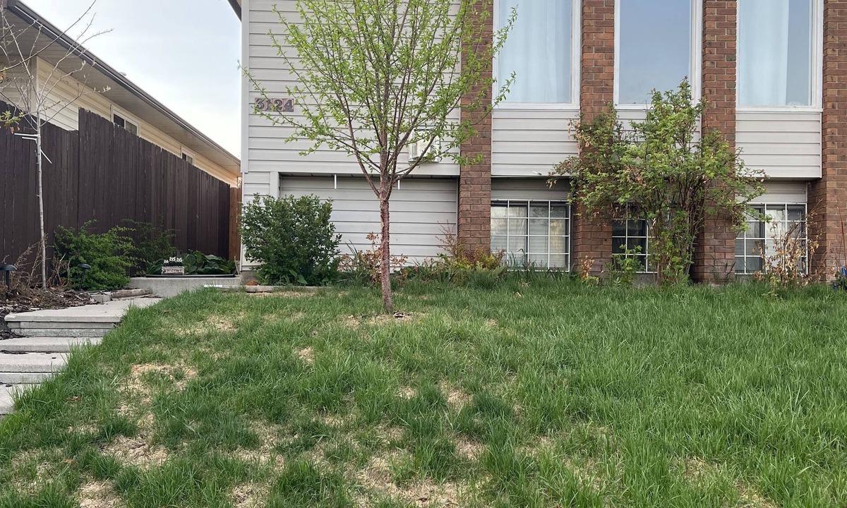 Cedarbrae House | Cozy basement suite w/fireplace. Pet friendly!