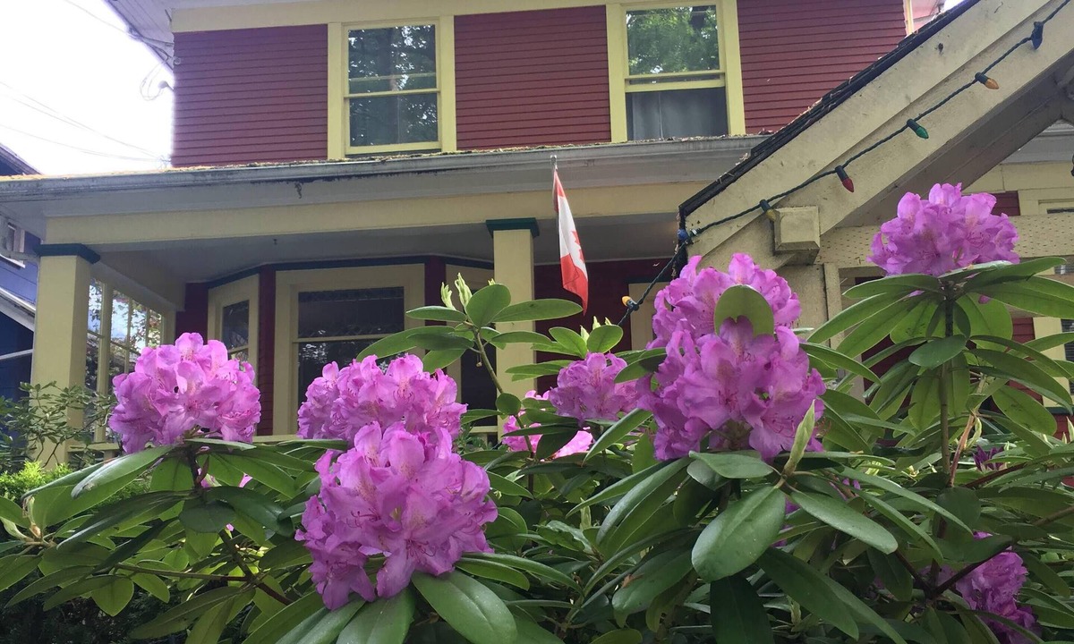 Mount Pleasant House | Douglas Guest House