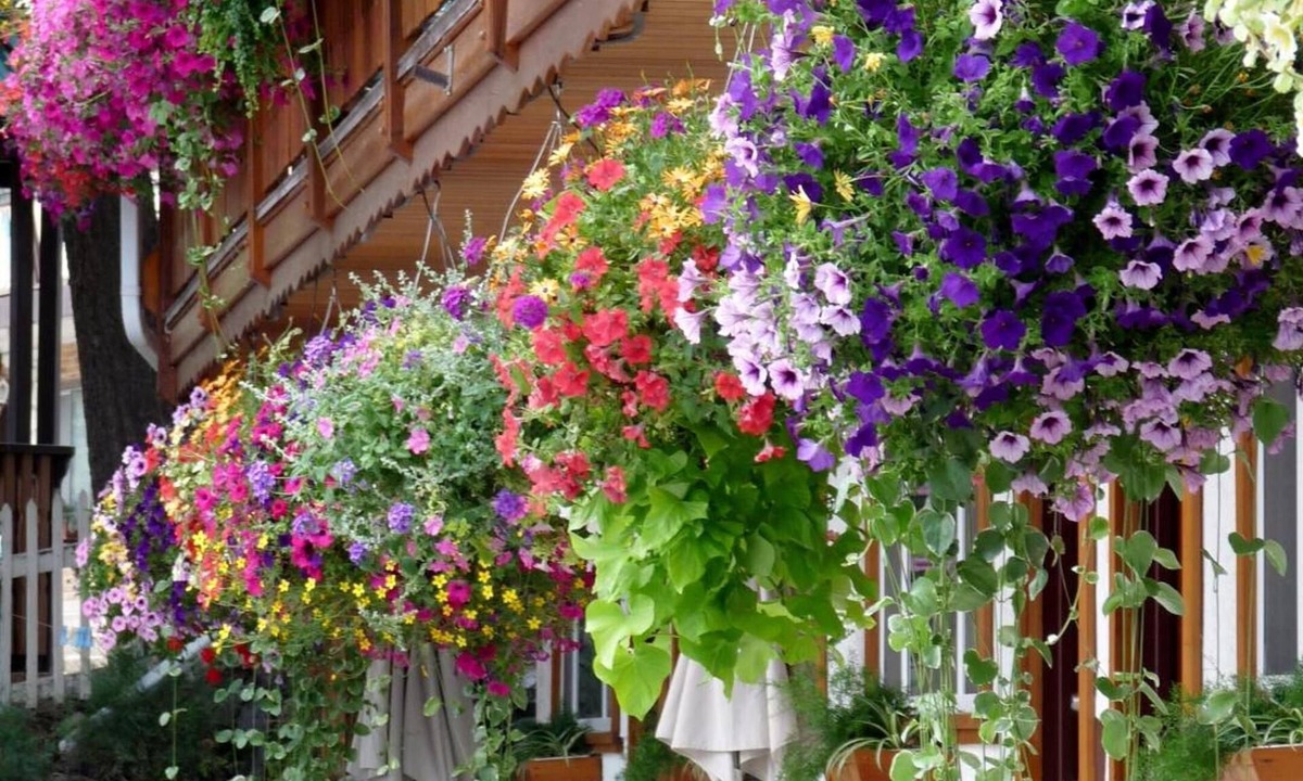 Radium Hot Springs Hotel | Gateway Motel