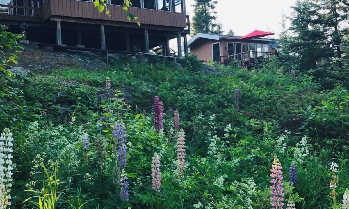 Sioux Narrows Nestor Falls Cabin | Gorgeous Lake of the Woods Cabin
