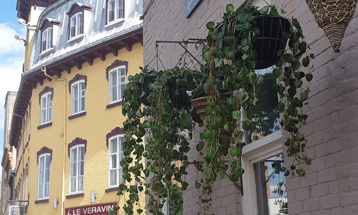 Lower Town Hotel | Hotel Belley