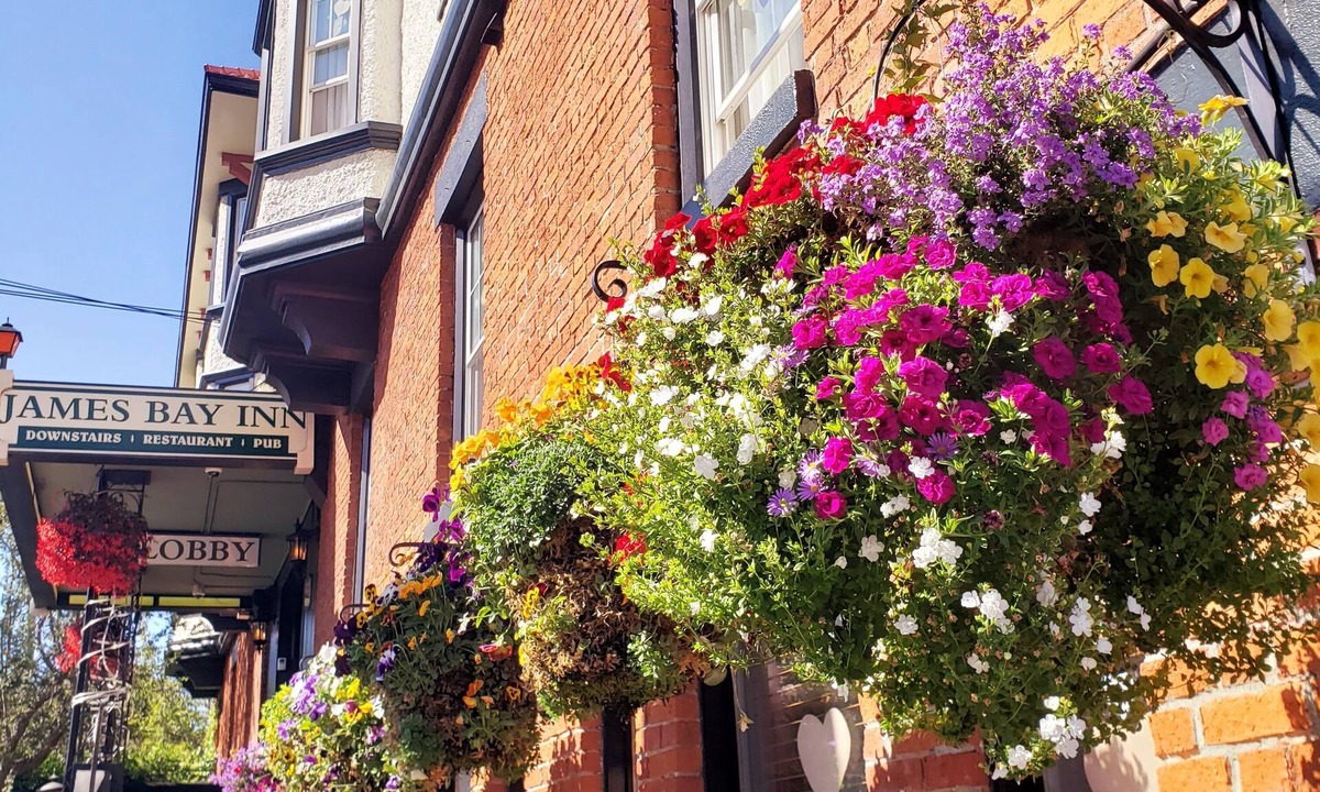 James Bay Hotel | James Bay Inn Hotel & Suites
