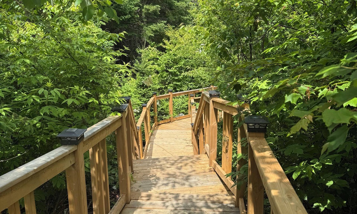Ingramport Cabin | KoKo Bay:GLAMPING: Where Glamour meets Nature! Mix of Hilton Hotel and Camping!