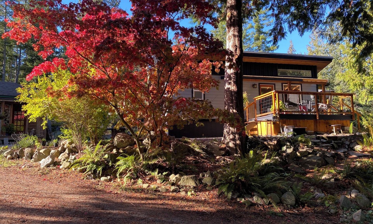 Sunshine Coast Cabin | Little Cabin with cedar sauna, Nestled amongst cedars on a quiet acreage.