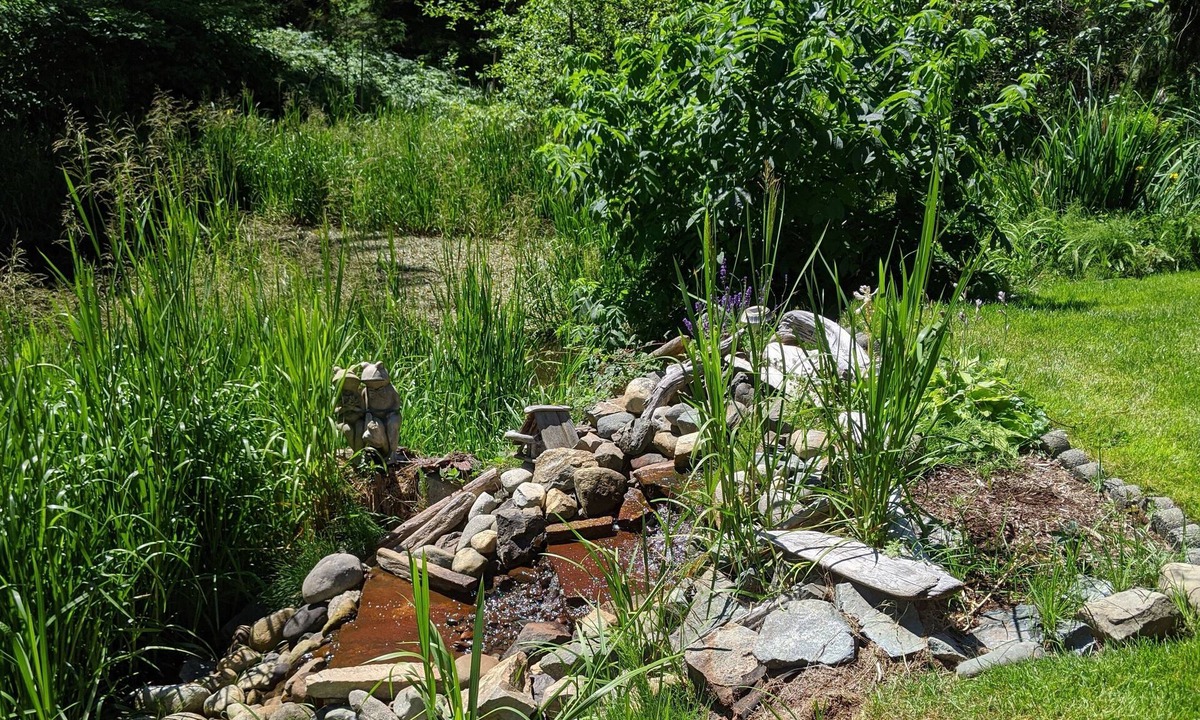 Lake Cowichan House | Little Suite in the Country