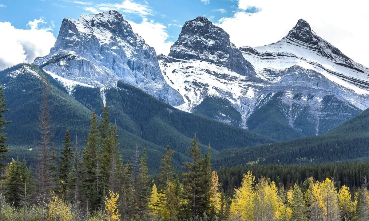 Canmore Condo | Luxury Penthouse Condo-Pet Friendly with Vaulted ceilings, best of everything.