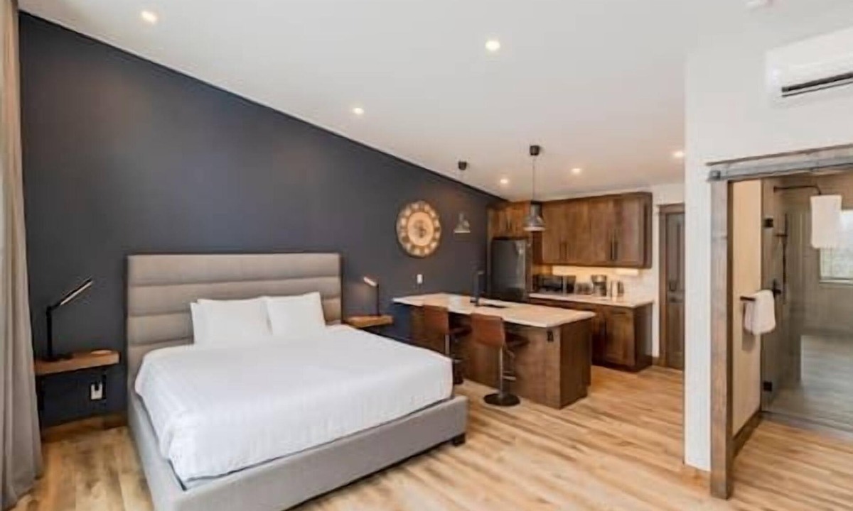Fernie Apartment | New Studio/Fireplace/King Bed/Fabulous Views