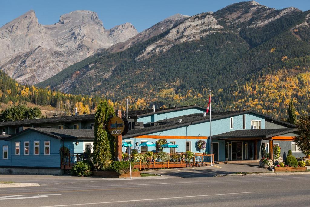 Fernie Hotel | Red Tree Lodge