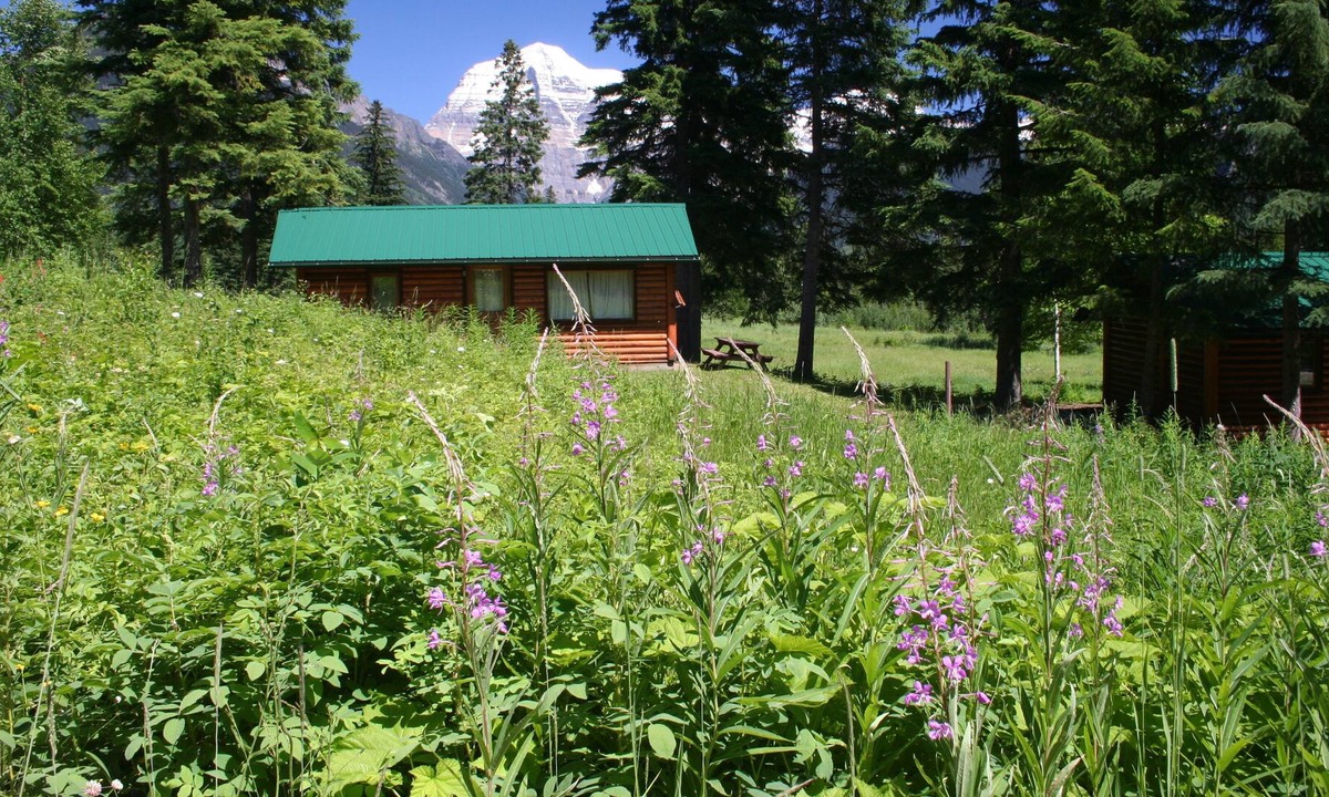 Tete Jaune Cache Cabin | Rustic cabin in the Canadian Rockies!