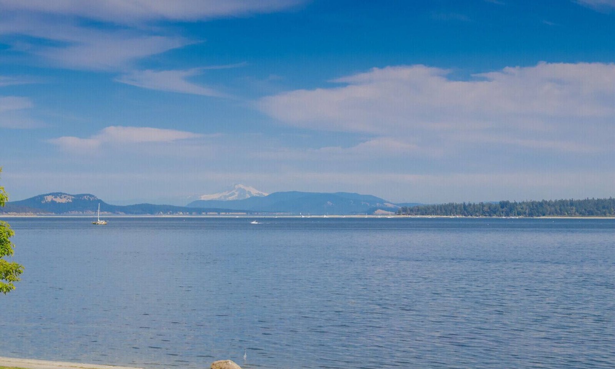 Sidney Hotel | The Cedarwood Inn & Suites