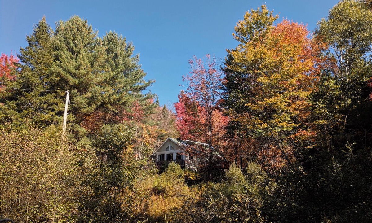 Potton Cabin | Vintage cottage in the heart of the forest for autumn cocooning