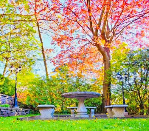 Toronto House | Walking Distance to Keelesdale Subway Spacious 2BR Garden Basement Suite