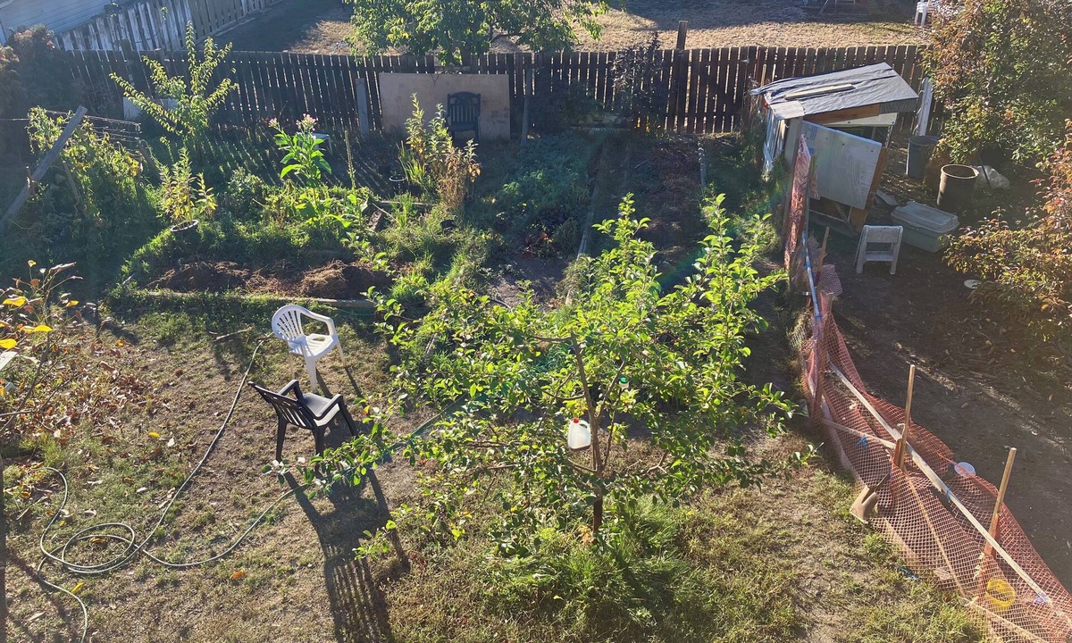 East Hill House | Winter rental with backyard