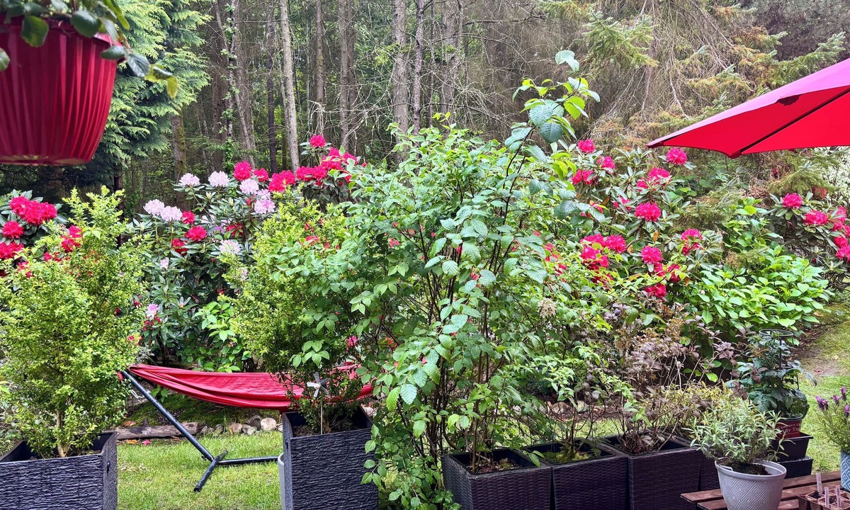 District of North Vancouver House | Your summer base: forest trails, mountains, beaches and Deep Cove minutes away.
