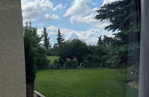 Southeast Calgary Apartment | 1 bdm walkout bsm suite Apto.