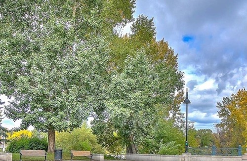 Crescent Heights Condo | 1BR Walkout Condo near Bow River with UG Parking