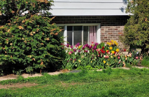 Fredericton Apartment | 3 Bedroom, Full Kitchen, Fire pit, Parking + Yard. Close to the Airport.