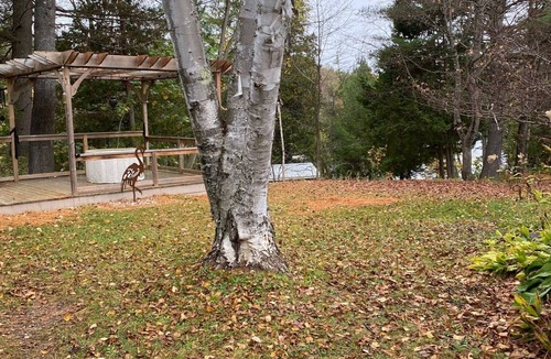 Minden Cottage | 3 Bedroom Private Cottage in Minden Hills