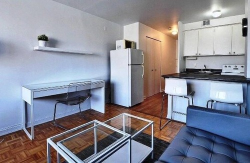 Milton Park Apartment | #352 Bright, Renovated Studio in Plateau Mont-Royal