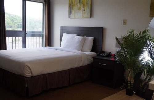 Silvertown Apartment | Bachelor Apartment on Niagara Gorge with free breakfast and kitchen.