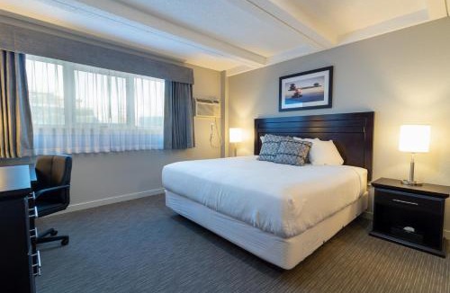 Fort McMurray Hotel | BCM Inns Fort McMurray - Downtown
