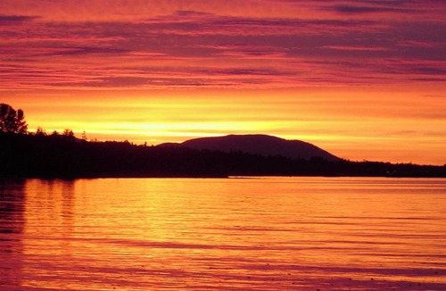 Courtenay Cabin | Beach Bum Cabin with awesome water views, sunsets and bird watching.