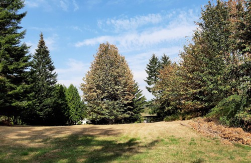 Langley House | Beautiful farm house with a ton of space and a Sauna . Family friendly