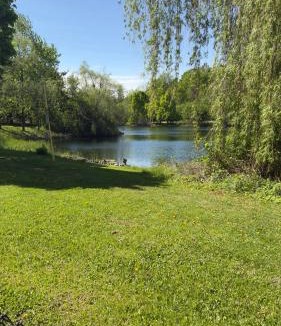 Brampton Apartment | Beautiful lake view Basment room