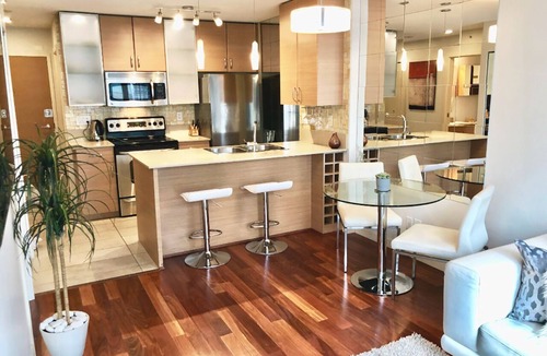 Yaletown Apartment | Beautiful Luxury Suite next to BC Place Stadium! Walk to MAJOR INTERNATIONAL SPORTING EVENT 2026 World Cup