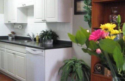 James Bay Condo | Beautiful Victoria Location In James Bay, A Short Walk To The Ocean And Downtown
