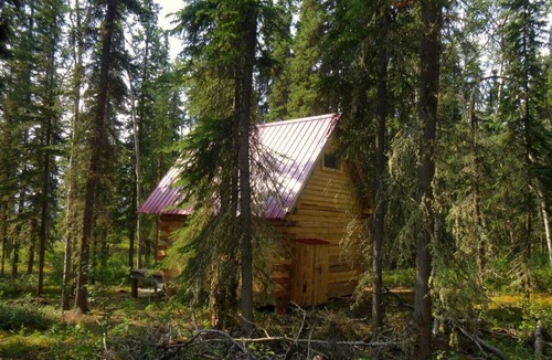 Marsh Lake Cabin | Birdhouse/Off-the-grid Cabin, Marsh Lake, YT