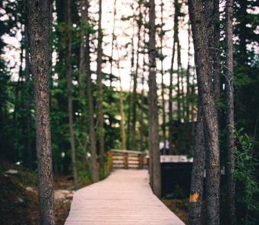 Whitehorse House | Black Spruce - Yellow Door