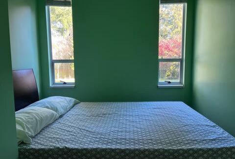South Surrey House | Bloom House 樱花民宿