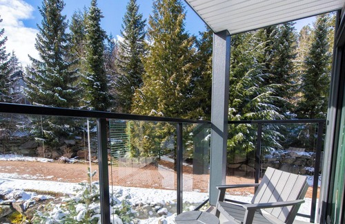 Blueberry Hill Condo | Blueberry Hill Condo - Free Parking, Pool and Hot Tub