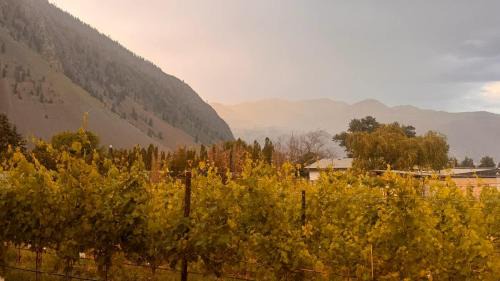 Okanagan-Similkameen House | Bold Reserve Herrera Vineyard Estate Home