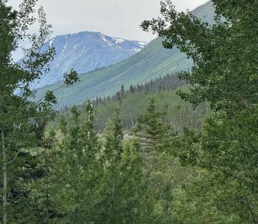 Mount Lorne House | Cabins Over Crag Lake