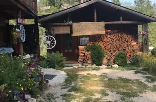 Beaverdell Cabin | Carmi Station Comfy Cabin