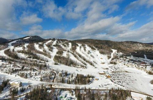 Entrelacs Ski Chalet | Chalet De l'Escapade Hot Tub - Lakeview - Pool table - Mountain view - More !