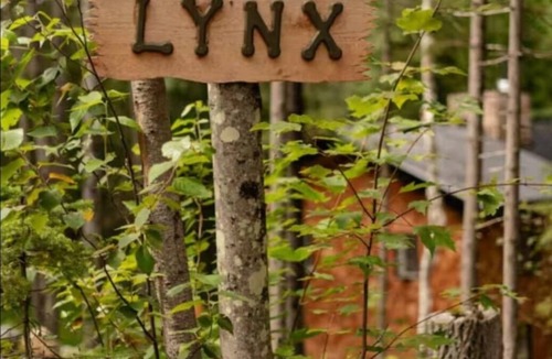 Trois-Rives Ski Chalet | Chalet Lynx