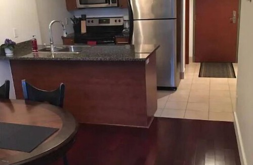 International District Condo | CHIC EXECUTIVE DOWNTOWN CONDO WITH FREE GARAGE PARKING NEAR THE OLD PORT !