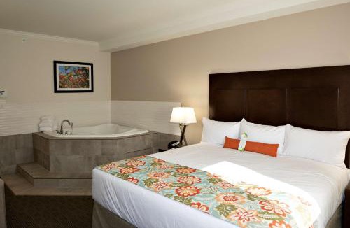 Oliver Hotel | Coast Oliver Hotel