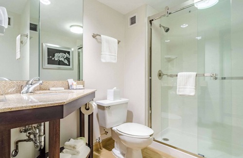 Raleigh Hotel | Comfort Inn Raleigh Midtown