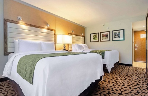 Raleigh Hotel | Comfort Inn Raleigh Midtown