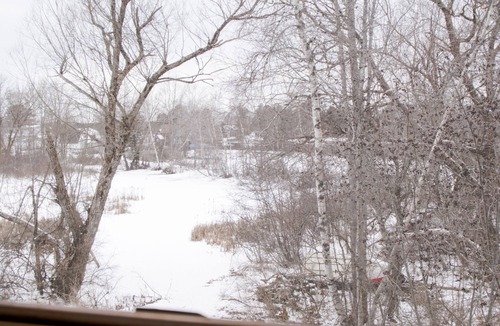 Princeton House | Comfy family-friendly log-sided home with lake frontage and dock
